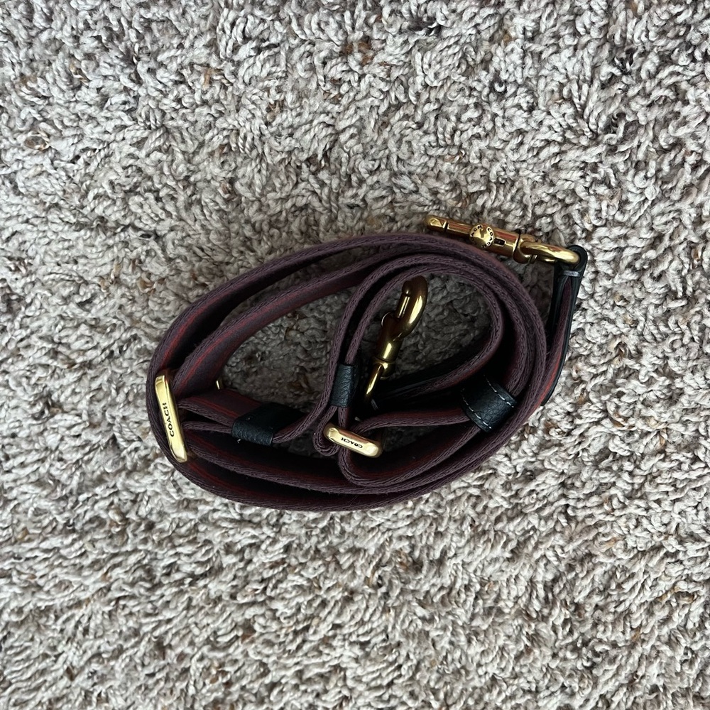 Coach Webbed Strap